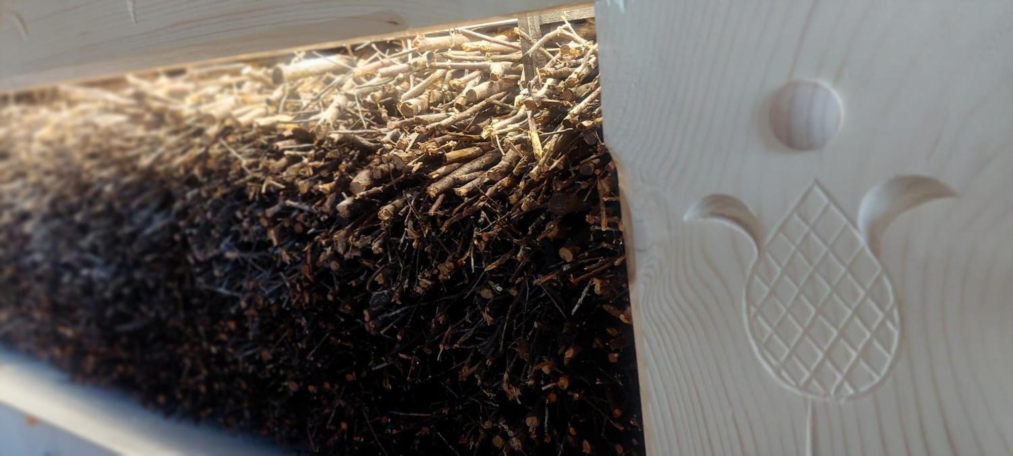 Apartamenty I Pokoje Pod Limbami - Sauna, Teznia Bukowina Tatrzańska Dış mekan fotoğraf