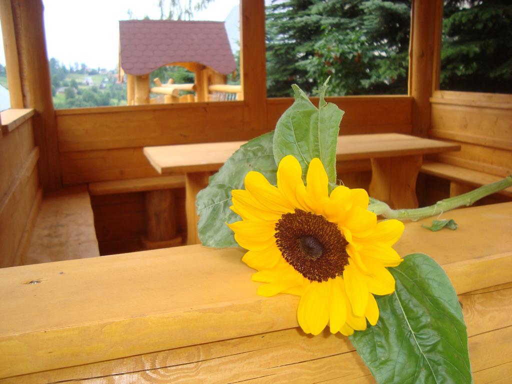 Apartamenty I Pokoje Pod Limbami - Sauna, Teznia Bukowina Tatrzańska Dış mekan fotoğraf