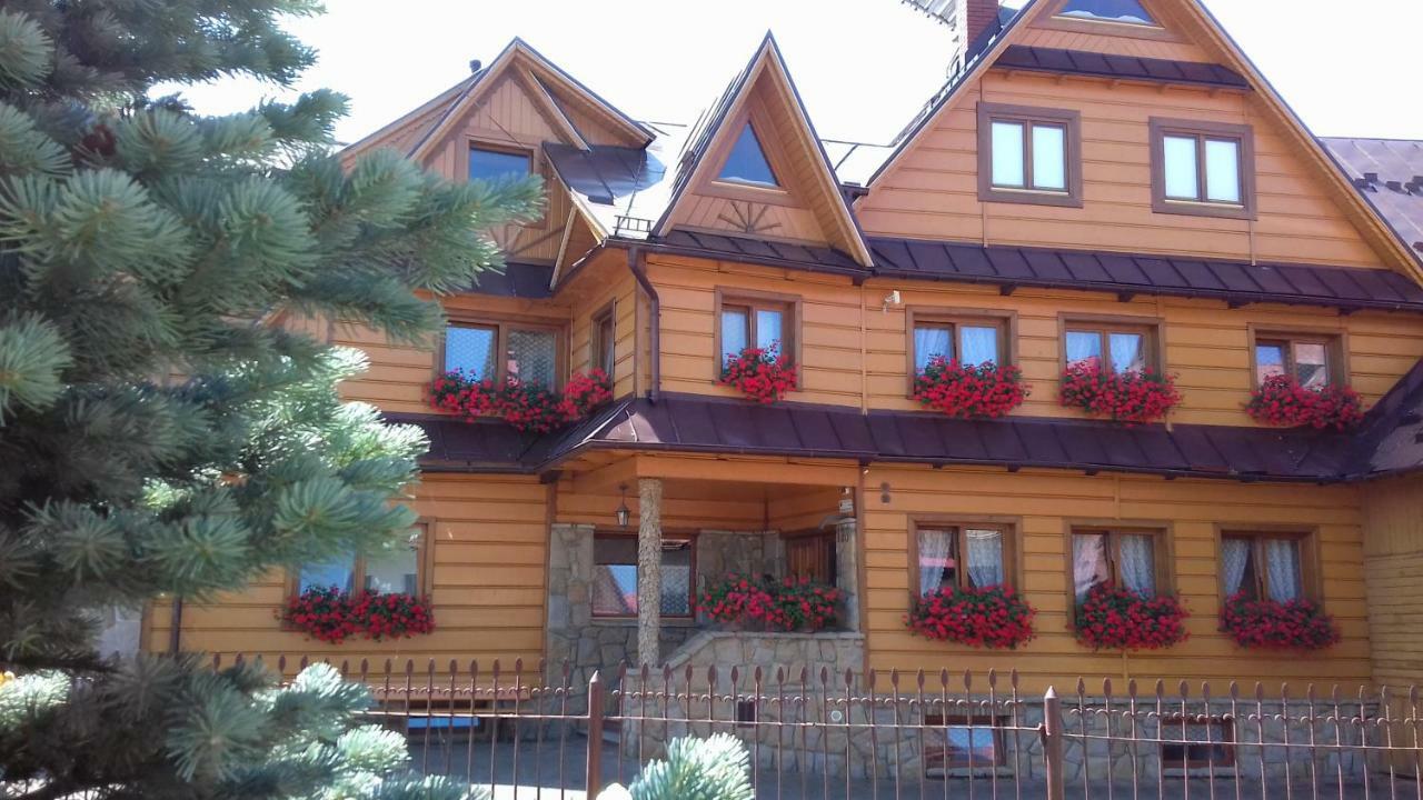 Apartamenty I Pokoje Pod Limbami - Sauna, Teznia Bukowina Tatrzańska Dış mekan fotoğraf